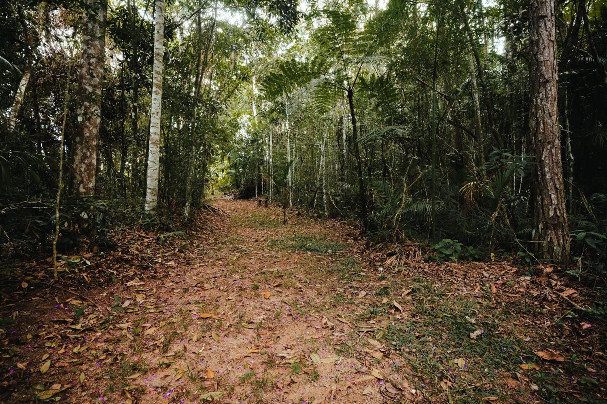 Sitio D Ouro Villa มาเรเชล ฟลอริอาโน ภายนอก รูปภาพ