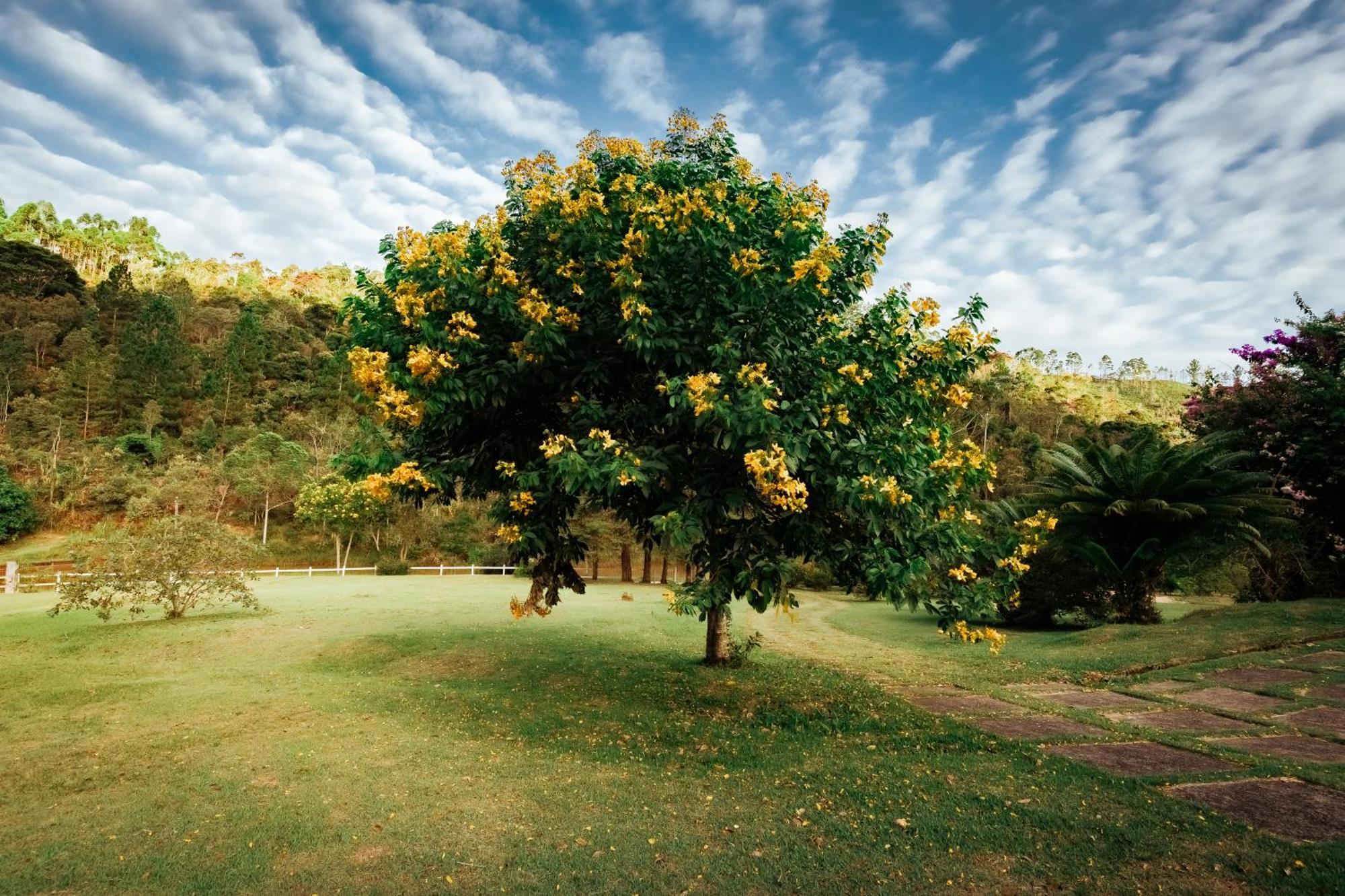 Sitio D Ouro Villa มาเรเชล ฟลอริอาโน ภายนอก รูปภาพ